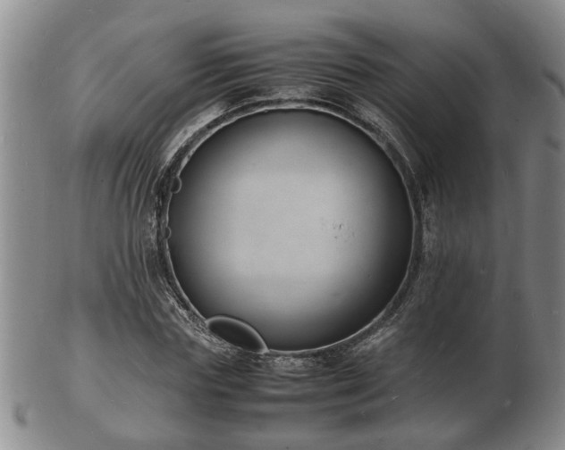 X0000103290827200809051457