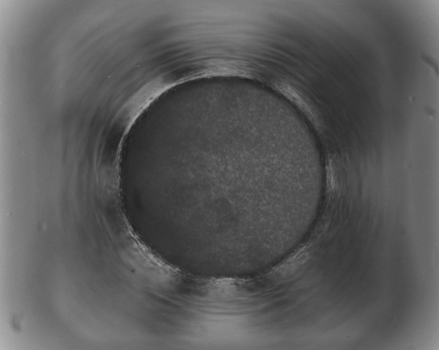 X0000103290828200809051457