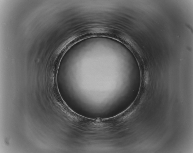 X0000103290829200809051457