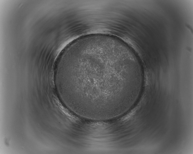 X0000103290830200809051457