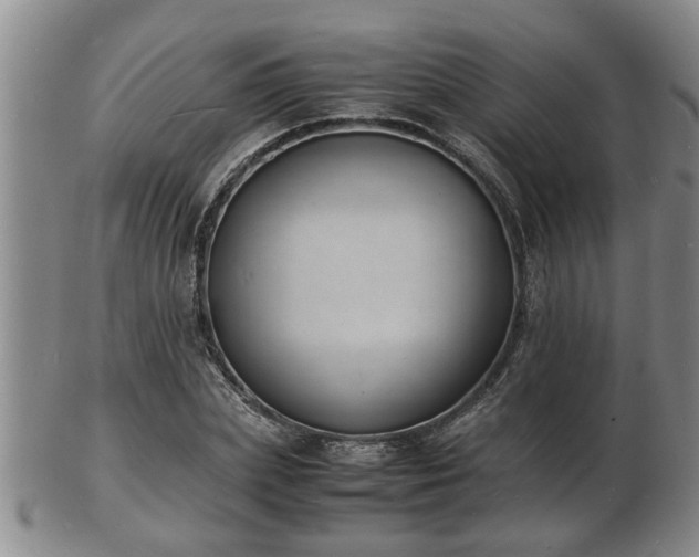 X0000103290831200809051457