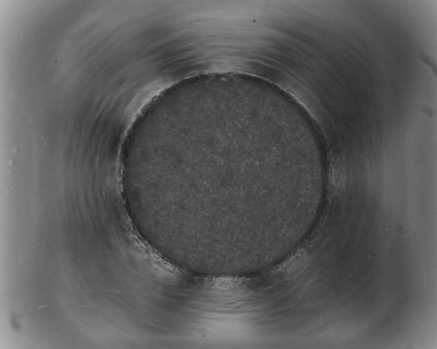 X0000103290832200809051457