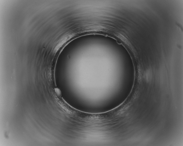 X0000103290834200809051457