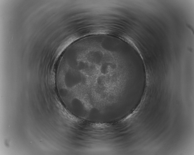 X0000103290835200809051457