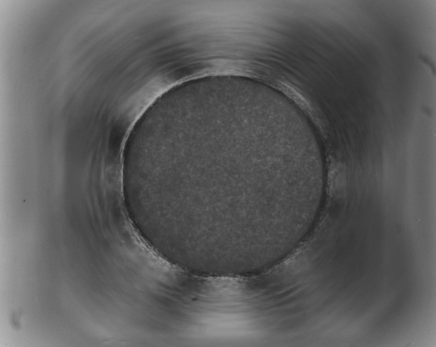 X0000103290836200809051457