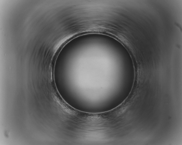 X0000103290838200809051457