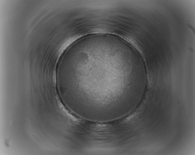 X0000103290839200809051457