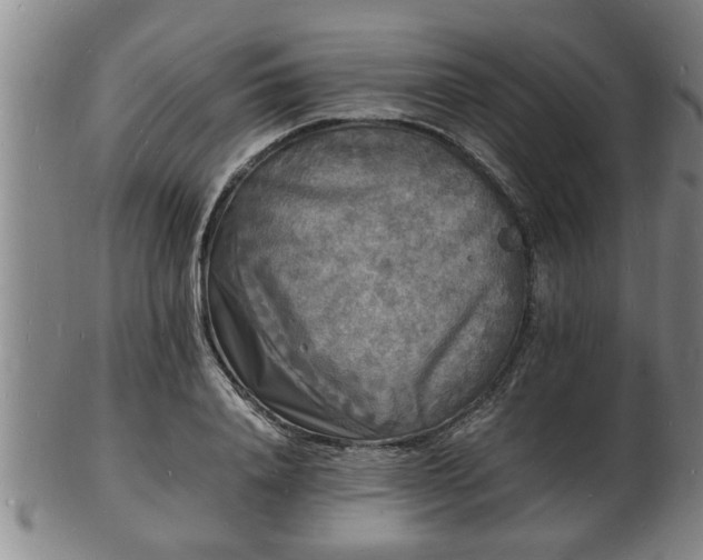 X0000103290840200809051457