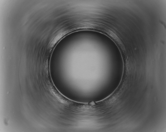 X0000103290842200809051458