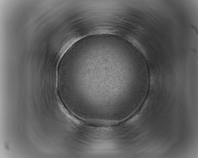 X0000103290844200809051458