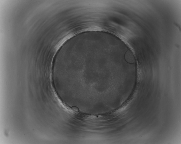 X0000103290845200809051458