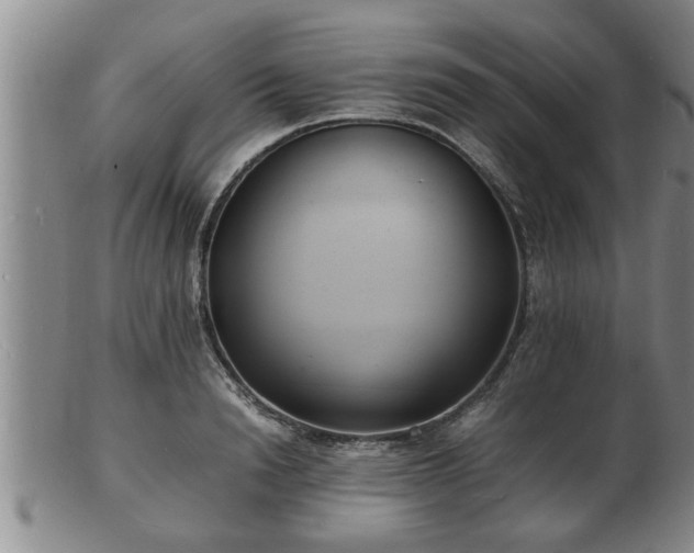 X0000103290846200809051458