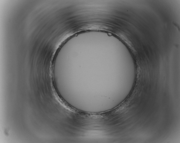 X0000103290848200809051458