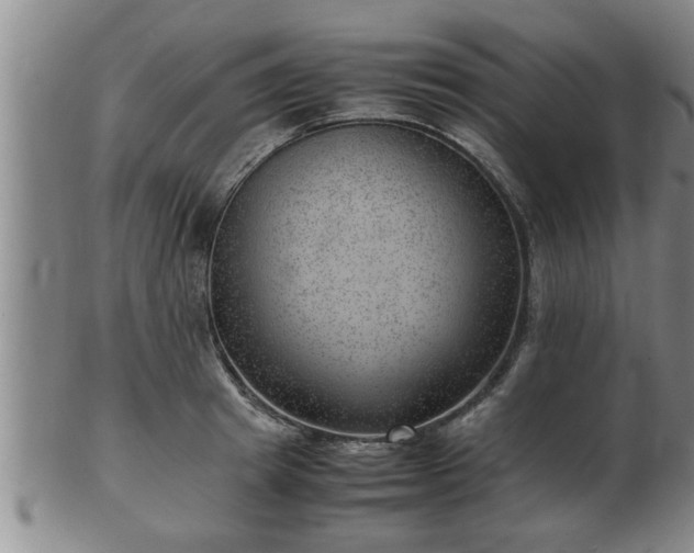 X0000103290849200809051458