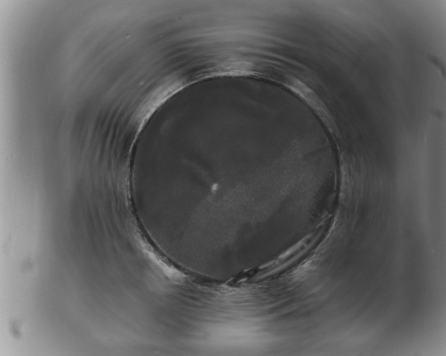 X0000103290850200809051458