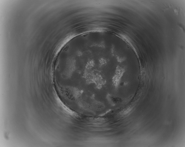 X0000103290851200809051458