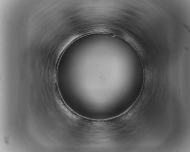 X0000103290852200809051458