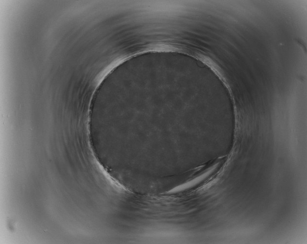 X0000103290853200809051458