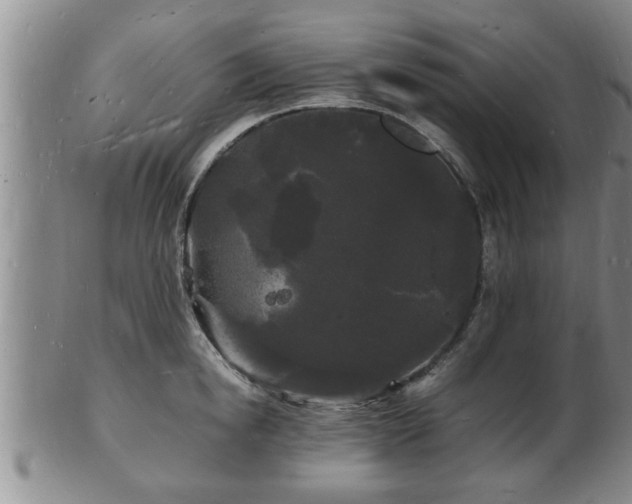 X0000103290854200809051458