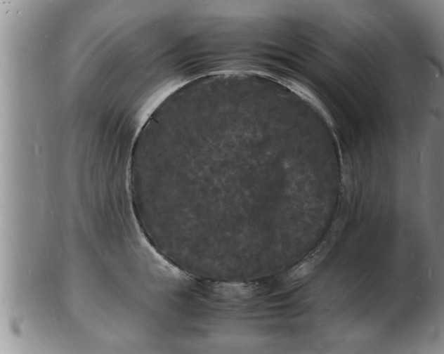 X0000103290855200809051458