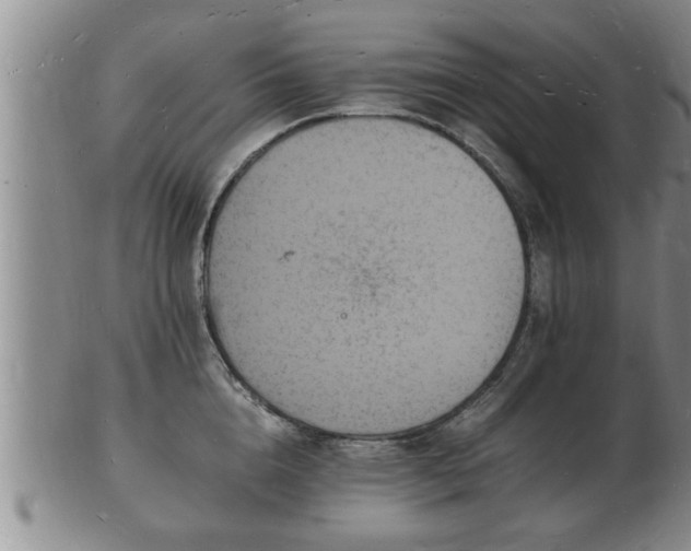 X0000103290856200809051458