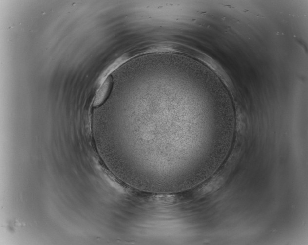 X0000103290858200809051458