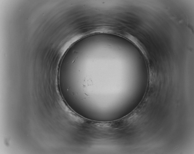 X0000103290861200809051458