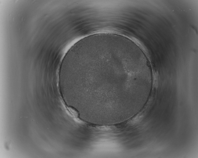 X0000103290862200809051458