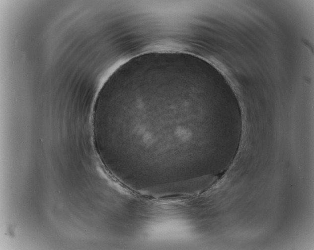 X0000103290864200809051458