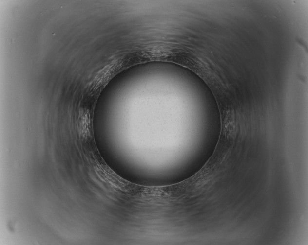 X0000103290866200809051457