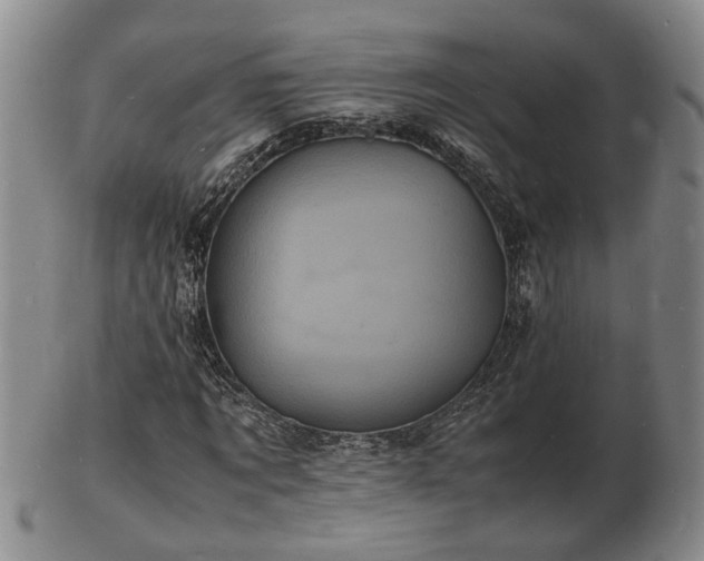 X0000103290869200809051457