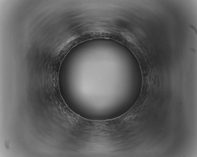 X0000103290870200809051457