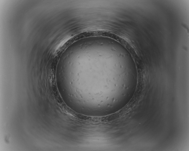 X0000103290871200809051457