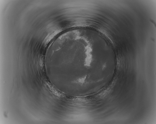 X0000103290874200809051457