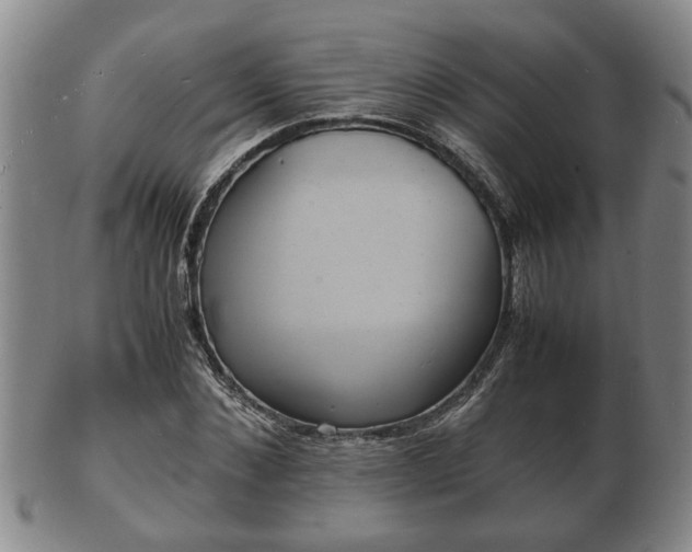 X0000103290876200809051457