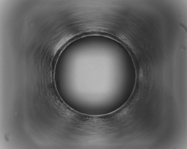 X0000103290877200809051457