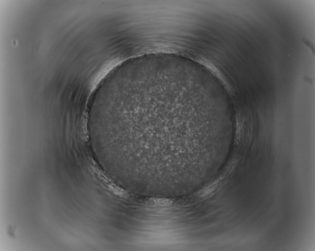 X0000103290878200809051457