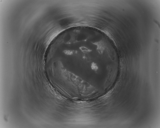 X0000103290879200809051457