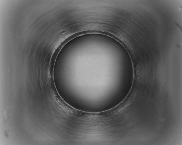 X0000103290880200809051457