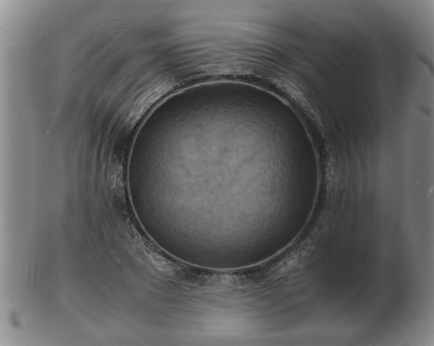 X0000103290881200809051457