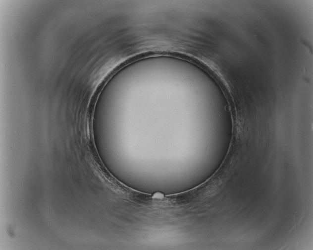 X0000103290887200809051457