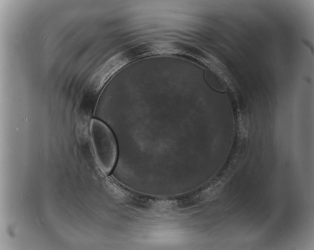 X0000103290889200809051457