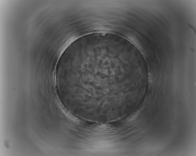 X0000103290891200809051457