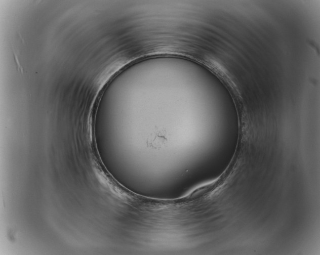 X0000103290892200809051457