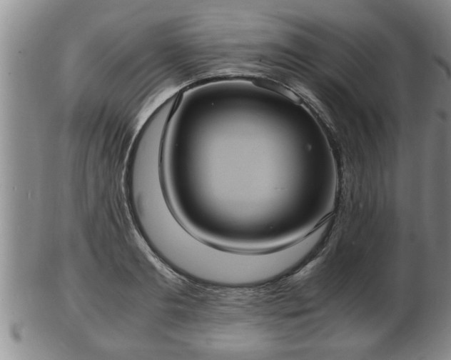 X0000103290893200809051457