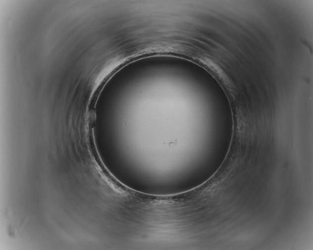 X0000103290894200809051457