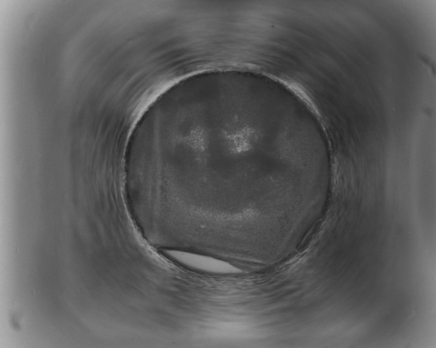 X0000103290895200809051457