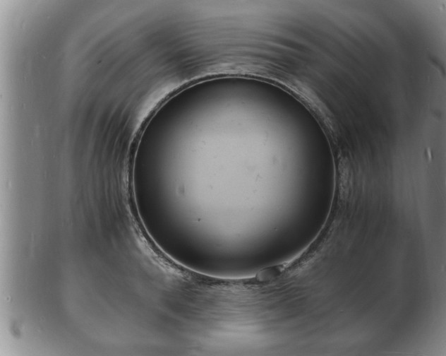 X0000103290896200809051457