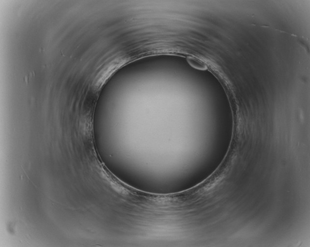 X0000103290897200809051457