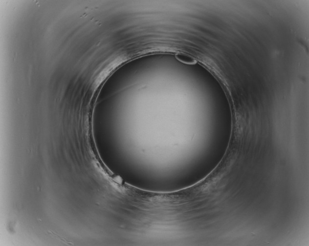 X0000103290898200809051457